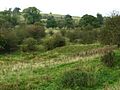 Croxton Park, near Croxton Kerrial - geograph.org.uk - 67369