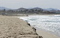 El Pescadero beach 2013-03-12