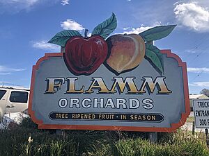 Entrance sign to Flamm Orchards just north of Cobden, Illinois, USA