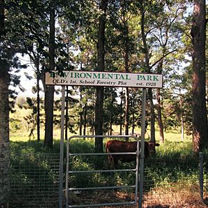 Entrance to Marburg State School’s Forestry Plot, from S (2015)