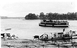 Ferry Aleathea at Mortlake early 1900s
