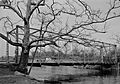Fink Through-Truss Bridge, Hunterdon County Government Complex (moved to), Flemington vicinity, Hunterdon County (New Jersey)