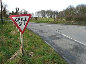 Giving way to Irish in the Baile Ghib Gaeltacht - geograph.org.uk - 704757