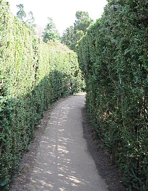 Hampton Court Avri 2009 42