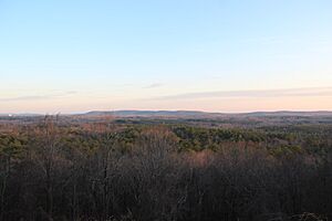 Harris county view 2
