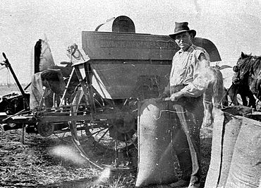 Harvest time, filling the bags. 1924 McKay header - Mickibri, NSW (5222380585).jpg