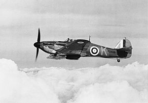 Hawker Hurricane Mk I of No. 85 Squadron RAF, October 1940. CH1501