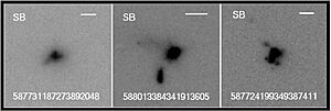 Hubble Peas Ed