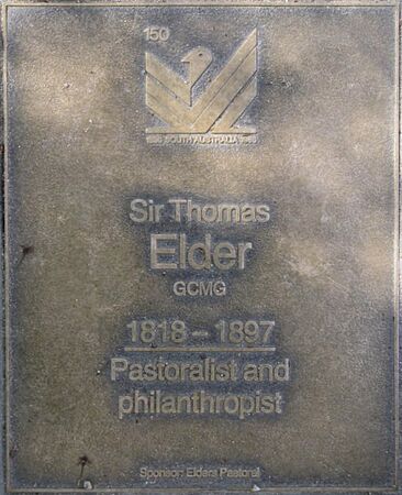 J150W-Elder