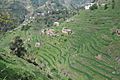 Kabal Swat valley