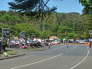 Kawerau christmas parade 2009