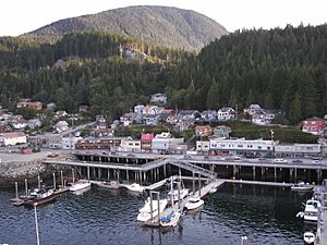 Ketchikan from Tongass Narrows, Alaska 3