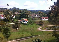 Las Terrazas, Cuba - panoramio (1)