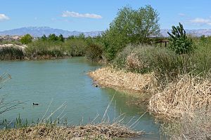 Las Vegas Wash wetlands 1