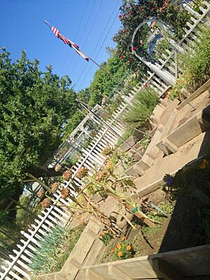 Leonis garden