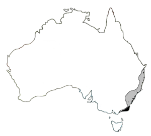 Litoria aurea range in Australia