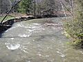 Little Nescopeck Creek looking downstream