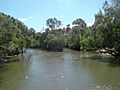 Logan River 1
