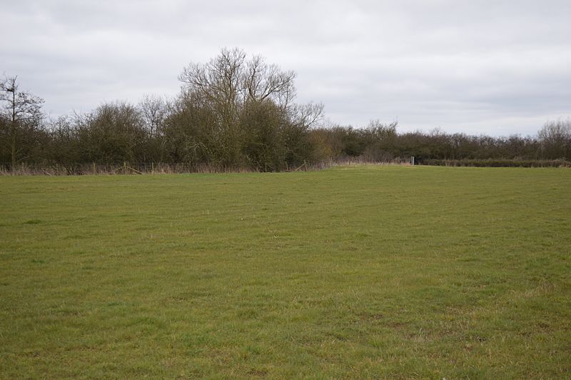 Long Herdon Meadow 4