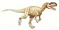 Monolophosaurus jiangi jmallon (flipped)