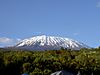 Mt. Kilimanjaro 12.2006.JPG