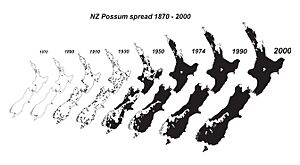 NZ possum spread 1870 - 1990