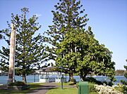 Newstead Park monument-and-Brisbane-River