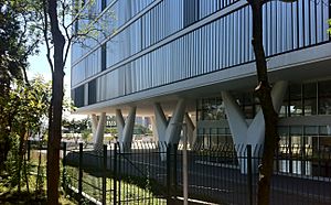 Niemeyer MAC USP