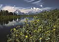 Oxbow Bend outlook in the Grand Teton National Park