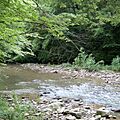 Panther State Forest-square