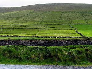 Pasture along the Dingle Way and slopes of Mount Eagle - geograph.org.uk - 16745