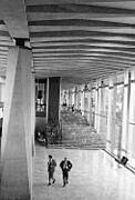 Patio of World Health Organization headquarters building, 1969