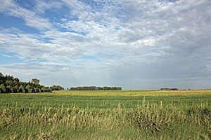 Paulsen Farm