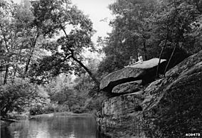 Photograph of Scene at Bell Smith Springs Recreation Area - NARA - 2129052.jpg