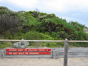 PointNepean-2