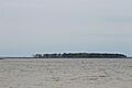 Poplar Island