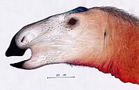 Probrachylophosaurus restoration.jpg