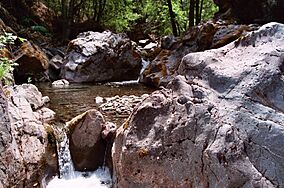 Rattlesnake creek.jpg