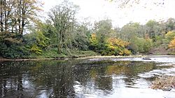 River Ayr at Gadgirth Holm, By Annbank, South Ayrshire.jpg