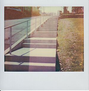 Round Top Street city stairs Crafton Heights Pittsburgh