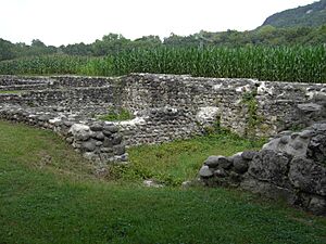 Ruine Freudenau 01