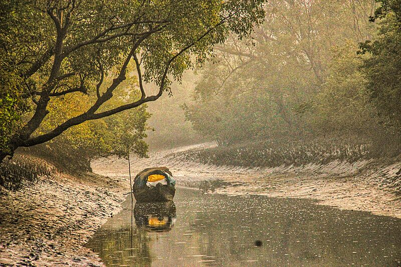 Save the sundarbans 20