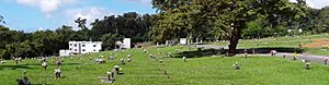 Señorial Memorial Park and Funeral Home, Cupey, San Juan, Puerto Rico