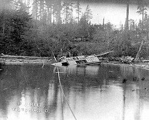 Sechelt (steamboat) sunk at Bowen Island BC 1910 PABC B-03984