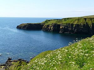 Shoreline near Forse Castle. - geograph.org.uk - 1365199