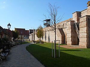 Slovakia - Trnava - Parčík Bela IV - RB02