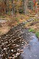 Sugar Hollow Creek looking downstream