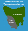 Tasmanian Native-hen-Dist