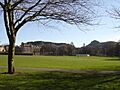 The Meadows Park