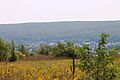 View of Mount Carmel 2